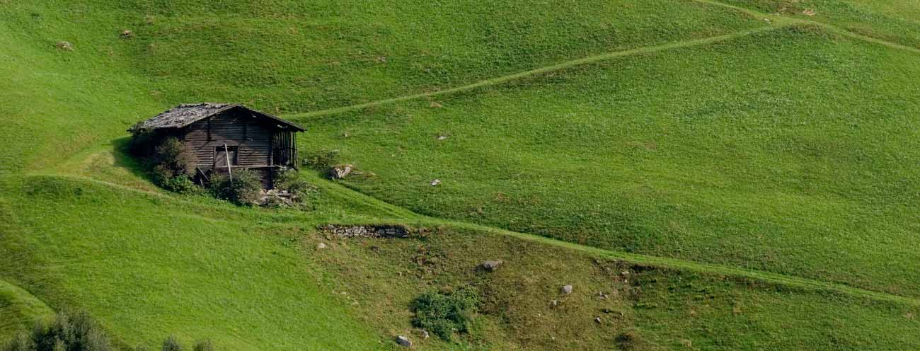 Small hay barn in the middle of a very steep meadow