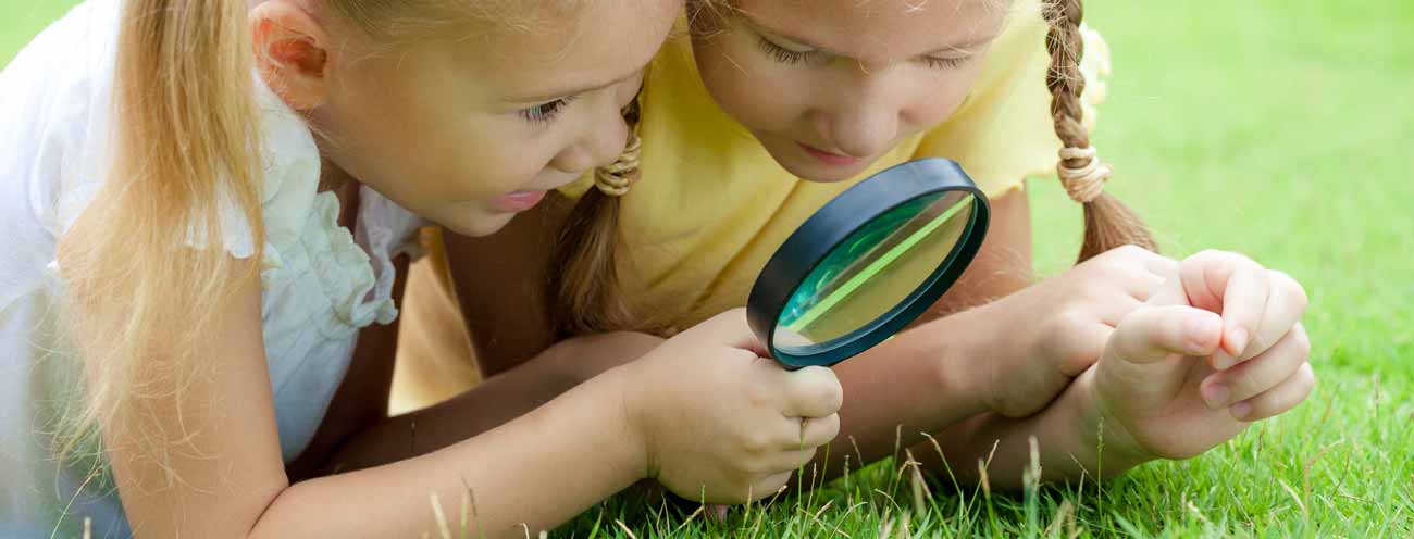 Two blonde girl with braids look with a magnifying glass on a meadow