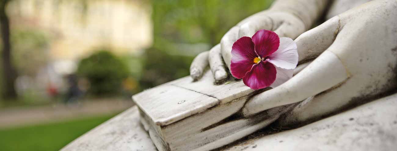 Closeup of the hands of the Sissi statue in Meran with a fresh flower as decoration