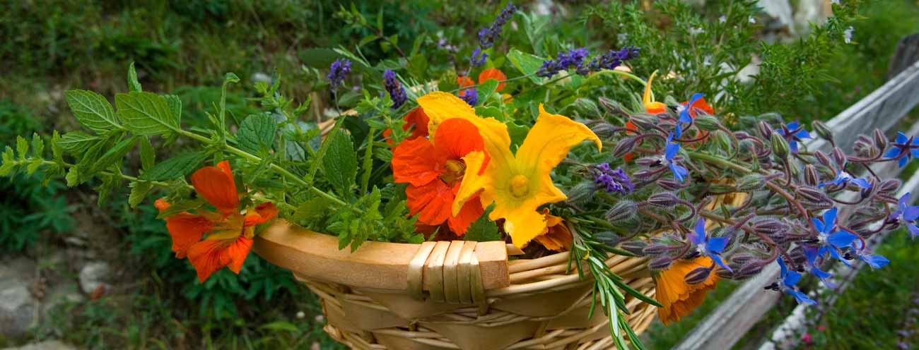 Ein Weidenkorb volle Wiesenblumen