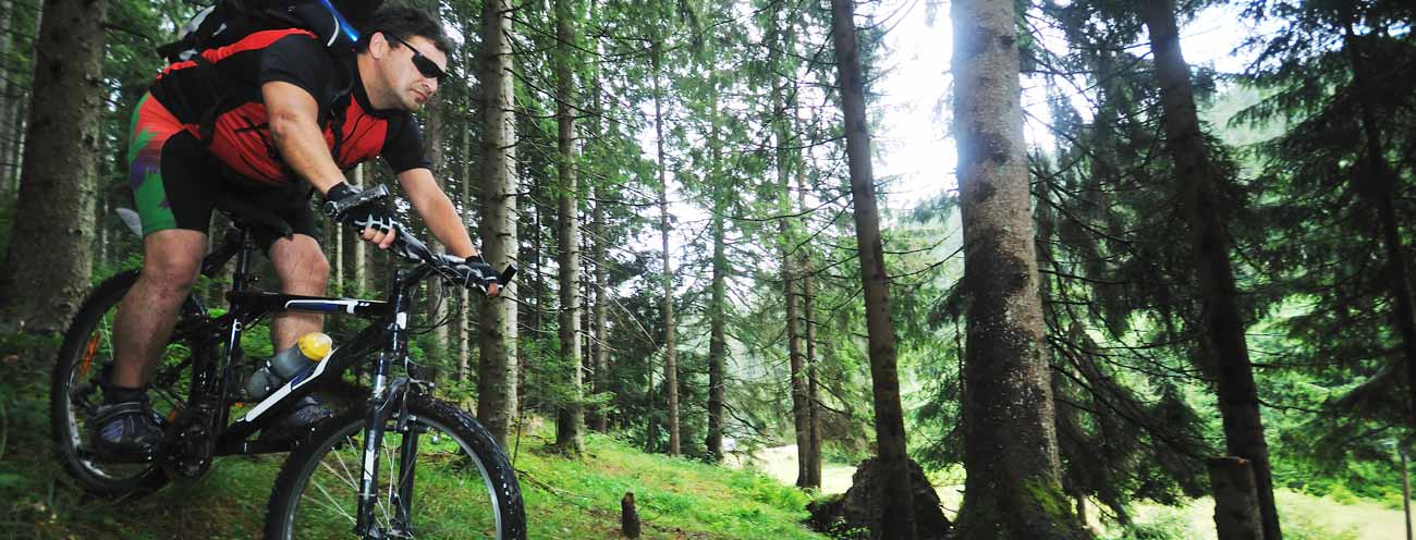 Downhill con la mountain bike nel bel mezzo della foresta