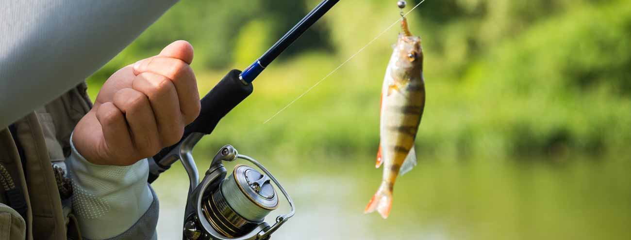 Fischer beim Angeln mit einem Fisch am Haken