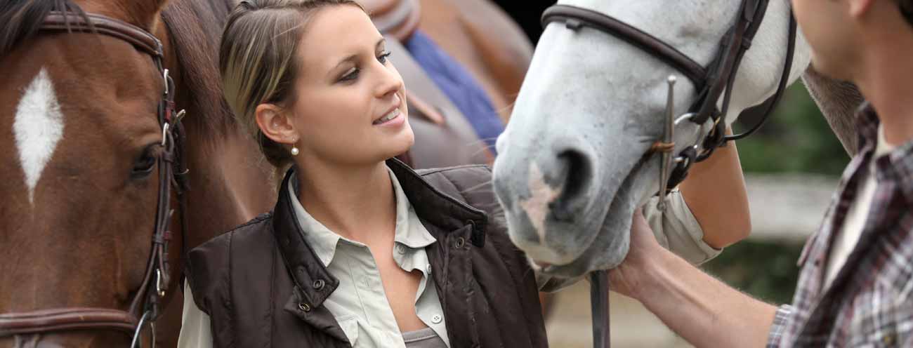 Two horses and a woman who caresses the white horse