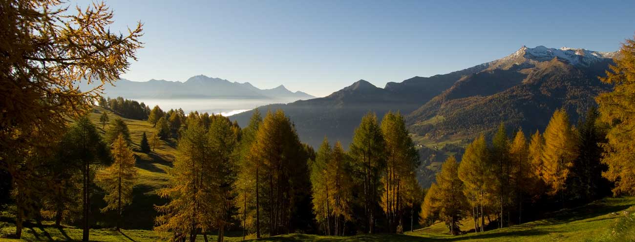 Herbstaufnahme von den Wäldern im Passeiertal mit rot-gelben Tönen